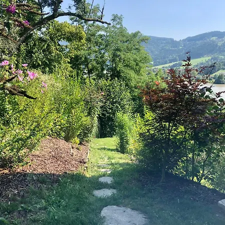 Danuvius18 Obernzell